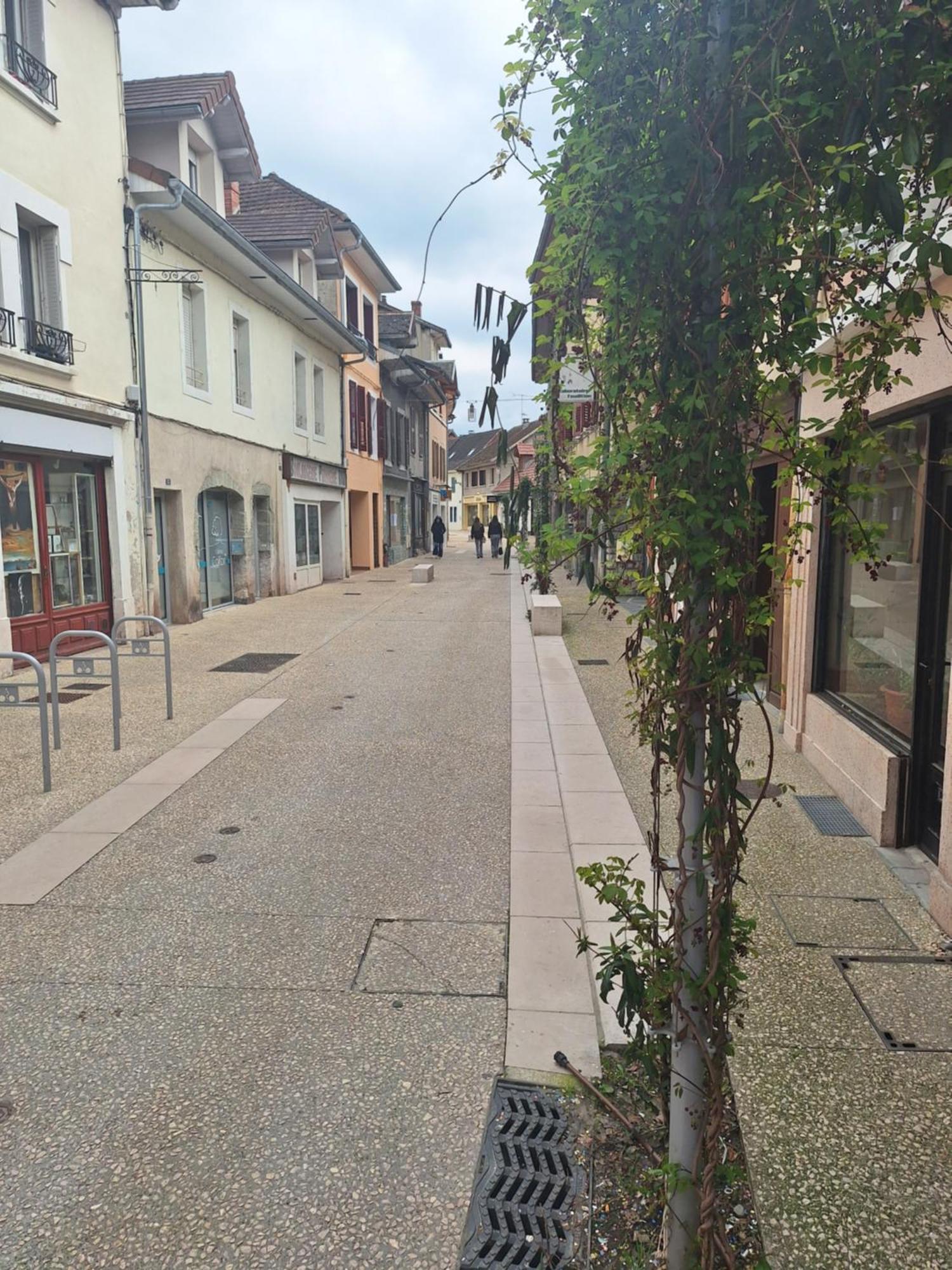 Chez Eric - L'Atypique Lägenhet Rumilly  Exteriör bild